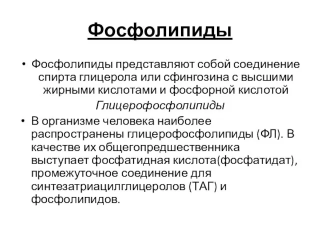 Фосфолипиды Фосфолипиды представляют собой соединение спирта глицерола или сфингозина с