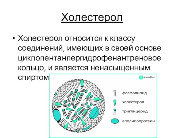 Холестерол Холестерол относится к классу соединений, имеющих в своей основе циклопентанпергидрофенантреновое кольцо, и является ненасыщенным спиртом.