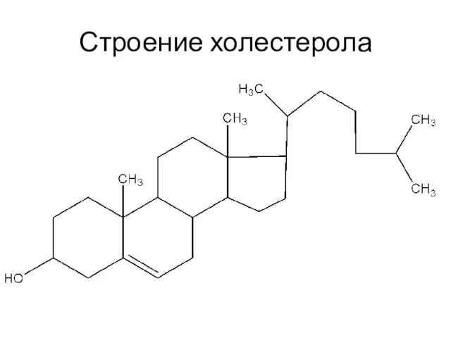 Строение холестерола