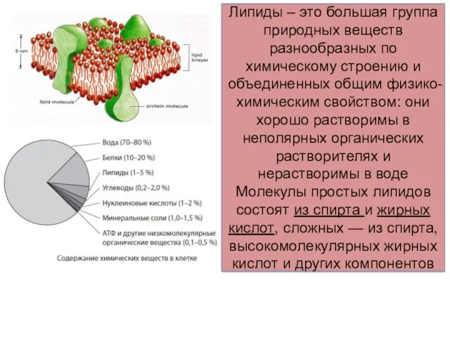 Липиды – это большая группа природных веществ разнообразных по химическому