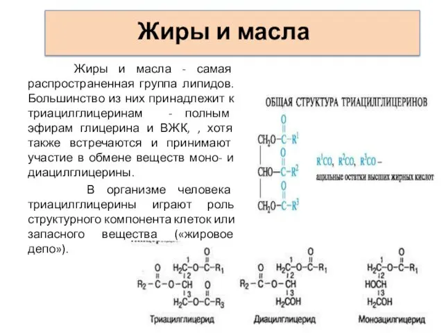 Жиры и масла Жиры и масла - самая распространенная группа