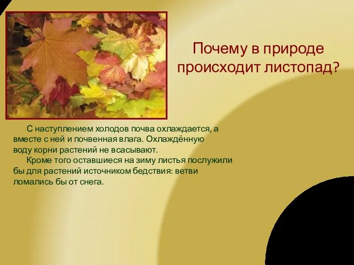 Почему в природе происходит листопад? С наступлением холодов почва охлаждается,