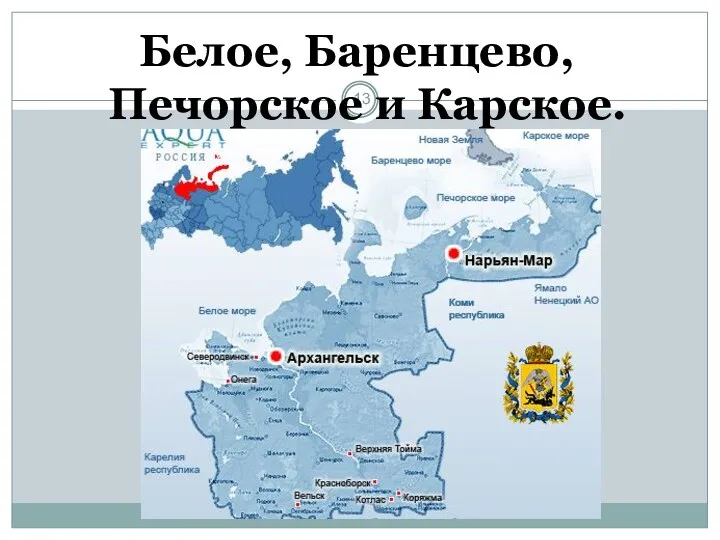 Белое, Баренцево, Печорское и Карское.