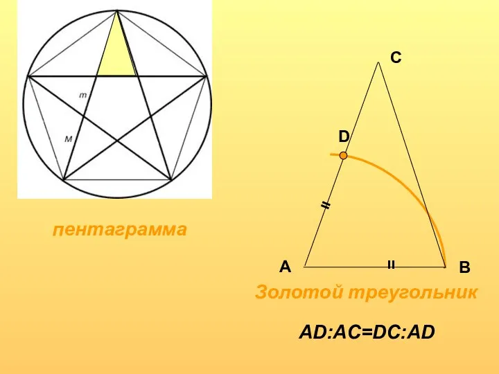 пентаграмма Золотой треугольник D = = А В С AD:AC=DC:AD