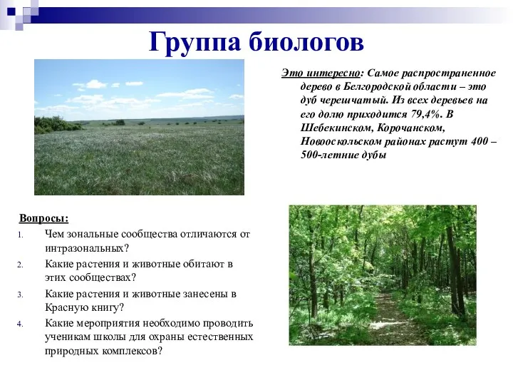 Группа биологов Это интересно: Самое распространенное дерево в Белгородской области – это дуб