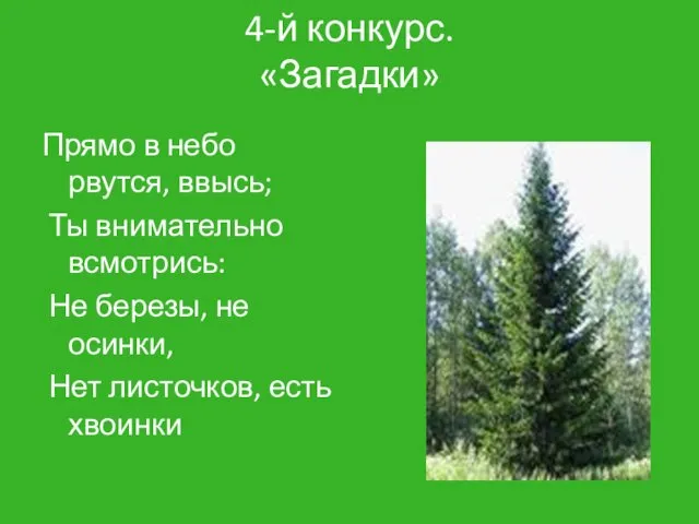 4-й конкурс. «Загадки» Прямо в небо рвутся, ввысь; Ты внимательно