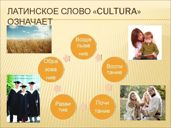 ЛАТИНСКОЕ СЛОВО «CULTURA» ОЗНАЧАЕТ