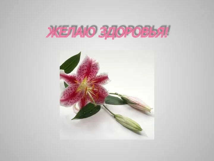 ЖЕЛАЮ ЗДОРОВЬЯ!