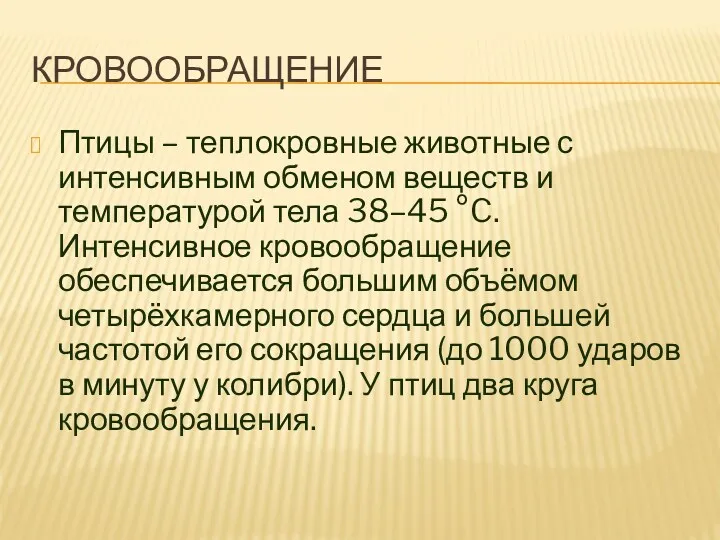 Кровообращение Птицы – теплокровные животные с интенсивным обменом веществ и