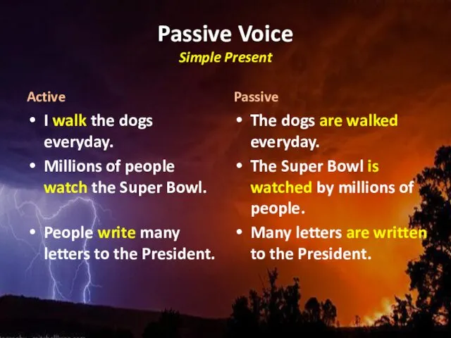 Passive Voice Simple Present Active I walk the dogs everyday.