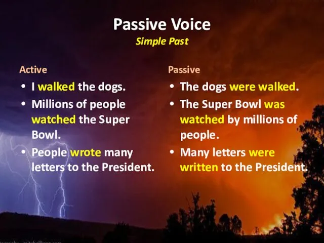Passive Voice Simple Past Active I walked the dogs. Millions