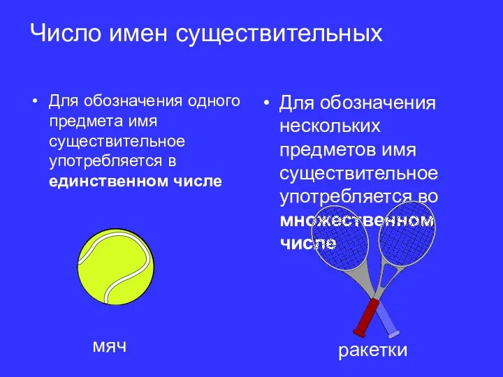 Число имен существительных Для обозначения одного предмета имя существительное употребляется