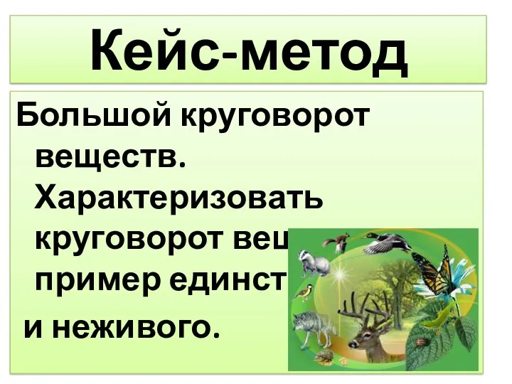 Кейс-метод Большой круговорот веществ. Характеризовать круговорот веществ как пример единства живого и неживого.