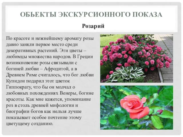 ОБЬЕКТЫ ЭКСКУРСИОННОГО ПОКАЗА Розарий По красоте и нежнейшему аромату розы давно заняли первое