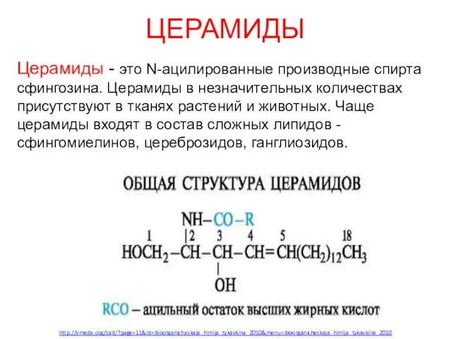 ЦЕРАМИДЫ Церамиды - это N-ацилированные производные спирта сфингозина. Церамиды в