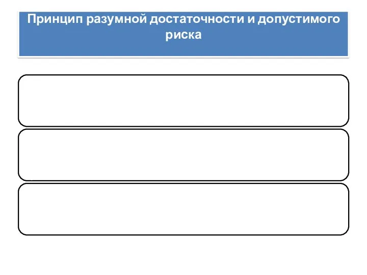 Принцип разумной достаточности и допустимого риска