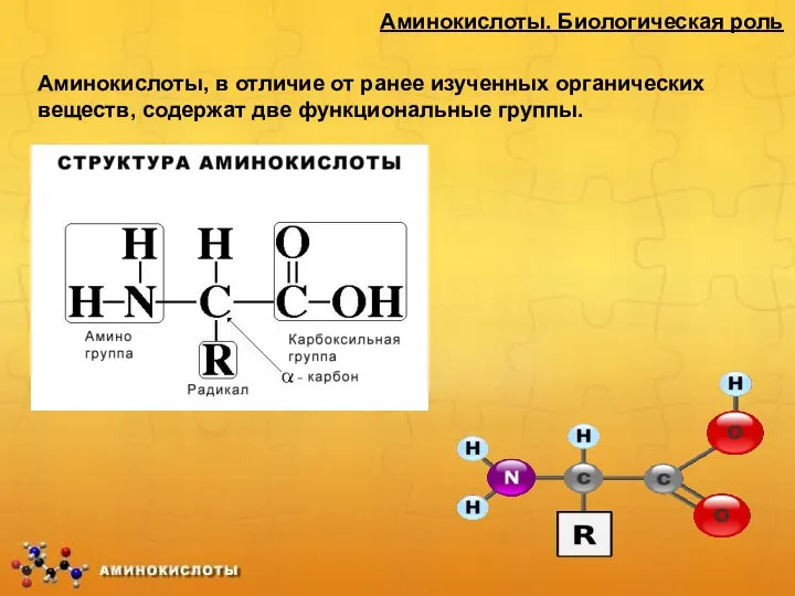 Аминокислоты. Биологическая роль Аминокислоты, в отличие от ранее изученных органических веществ, содержат две функциональные группы.