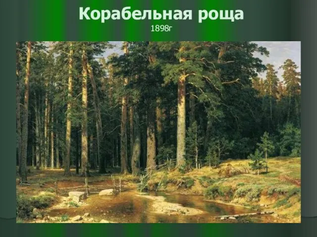 Корабельная роща 1898г