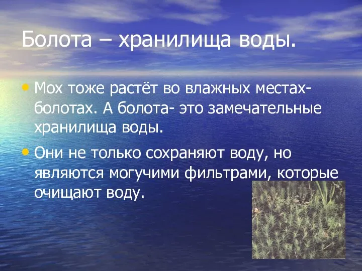 Болота – хранилища воды. Мох тоже растёт во влажных местах-болотах.