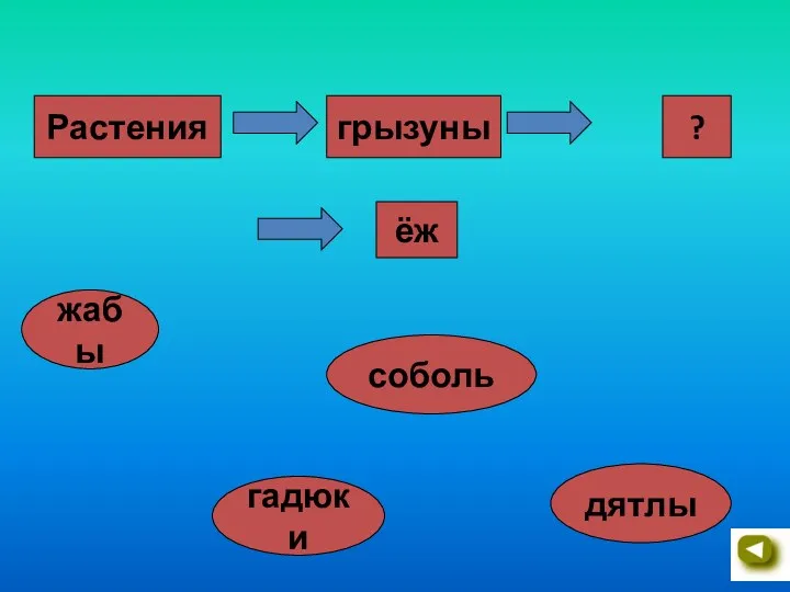 жабы гадюки соболь дятлы