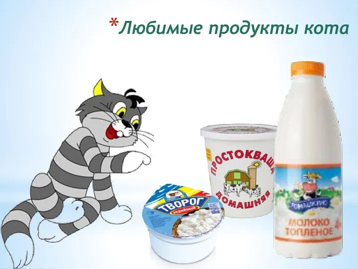 Любимые продукты кота