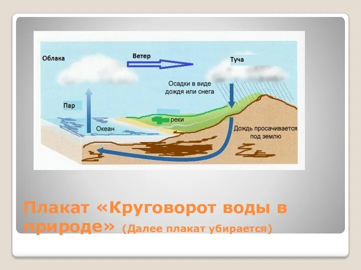 Плакат «Круговорот воды в природе» (Далее плакат убирается)