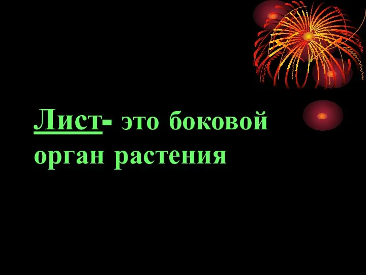 Лист- это боковой орган растения