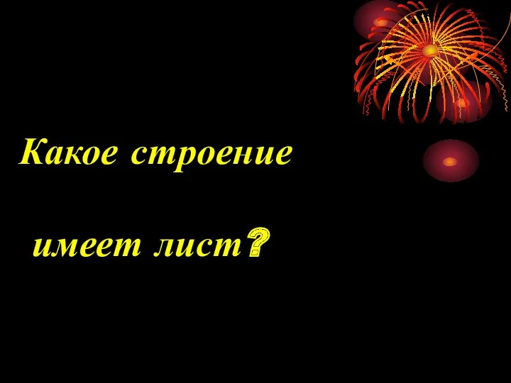 Какое строение имеет лист?