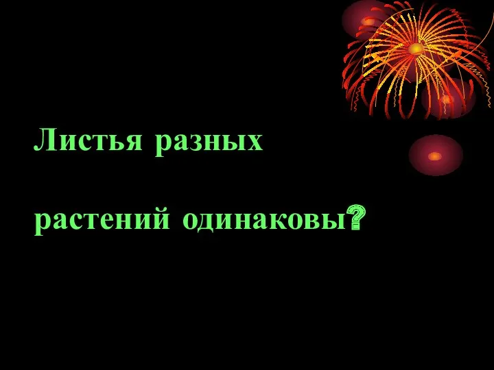 Листья разных растений одинаковы?