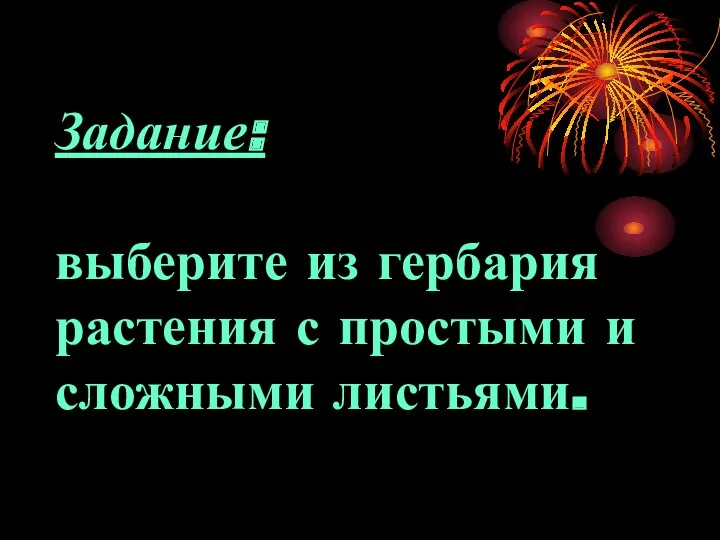 Задание: выберите из гербария растения с простыми и сложными листьями.