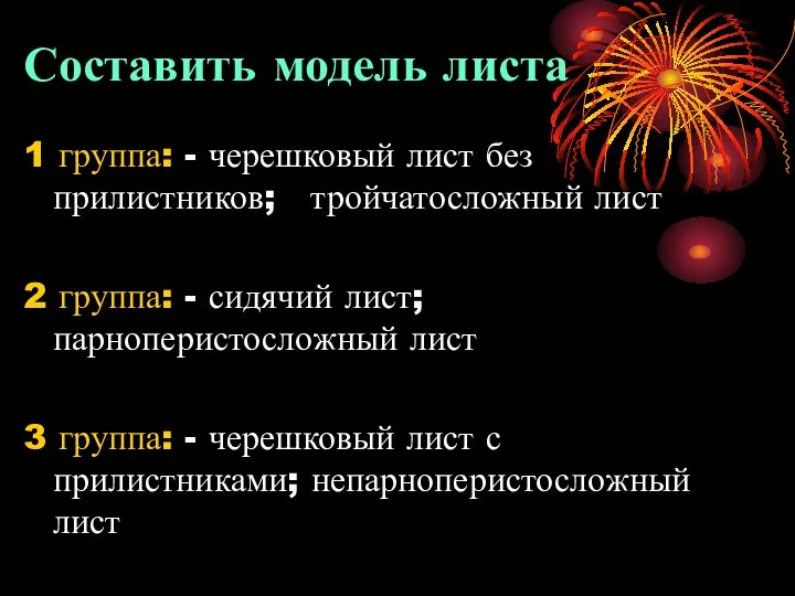 Составить модель листа 1 группа: - черешковый лист без прилистников; тройчатосложный лист 2