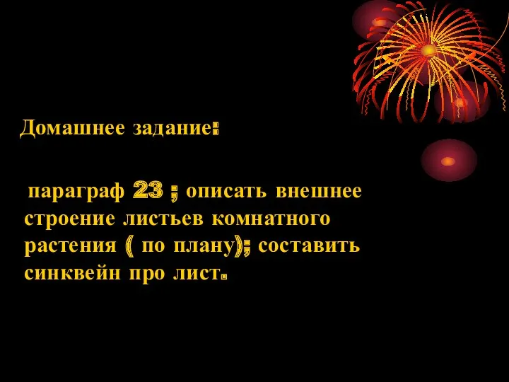 Домашнее задание: параграф 23 ; описать внешнее строение листьев комнатного