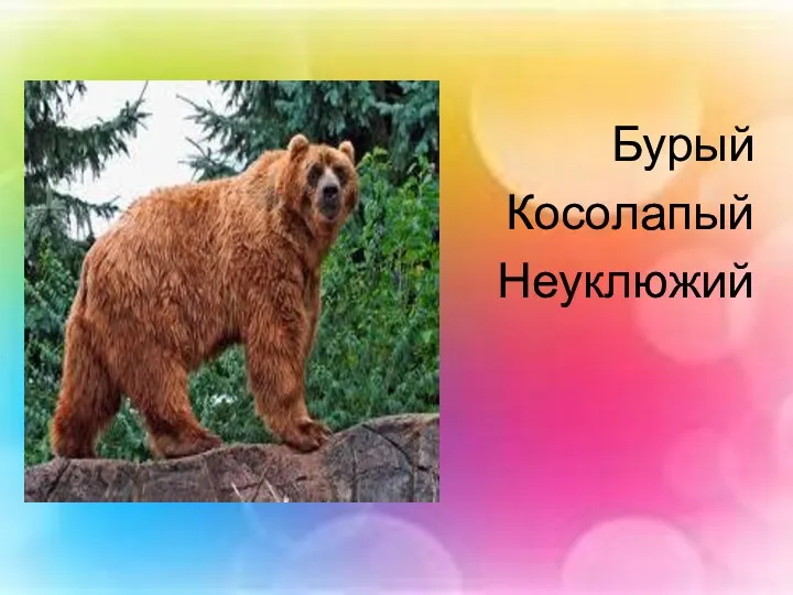 Бурый Косолапый Неуклюжий