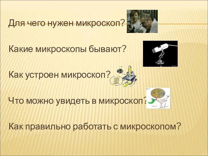 Для чего нужен микроскоп? Какие микроскопы бывают? Как устроен микроскоп?