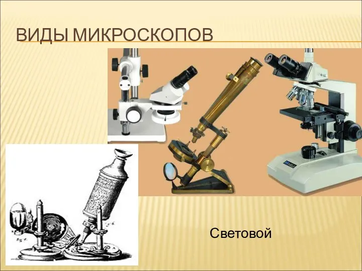 ВИДЫ МИКРОСКОПОВ Световой