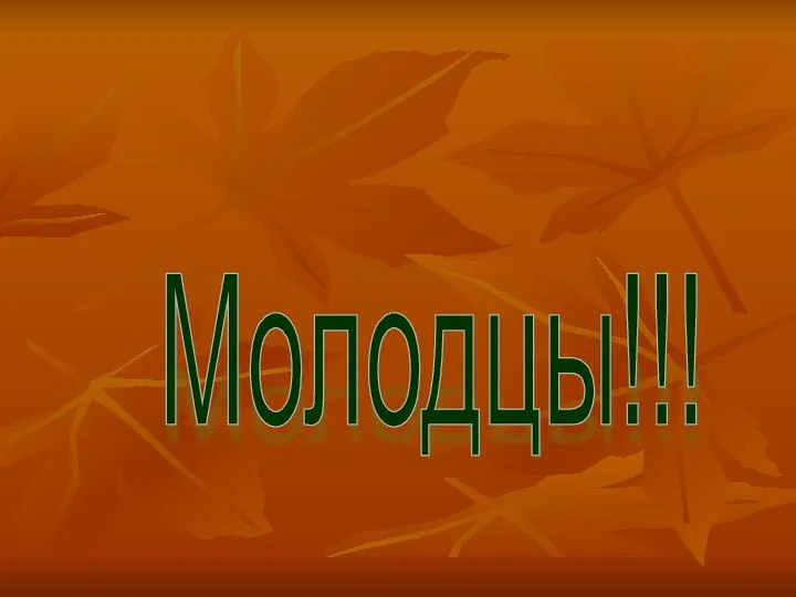 Молодцы!!!