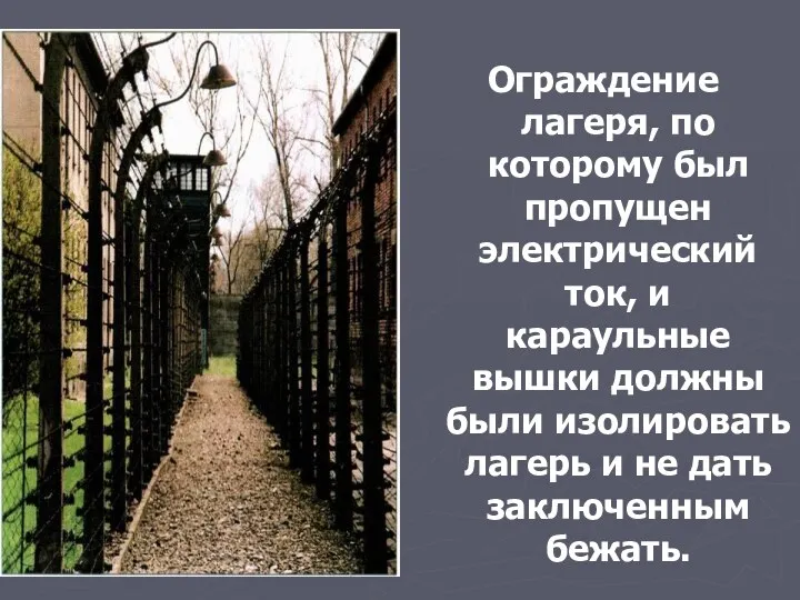 Ограждение лагеря, по которому был пропущен электрический ток, и караульные