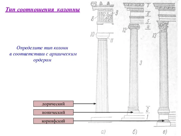 дорический Тип соотношения колонны Определите тип колонн в соответствии с архаическим ордером ионический коринфский