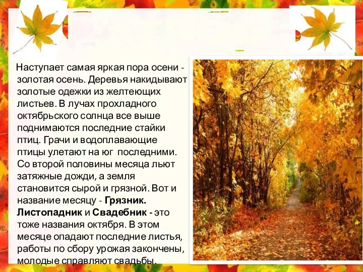 Октябрь Наступает самая яркая пора осени - золотая осень. Деревья накидывают золотые одежки