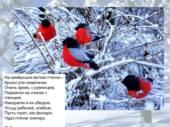 На замёрзших ветках птички – Крохотули-невелички. Очень яркие, с румянцем, Пиджачок на спинке