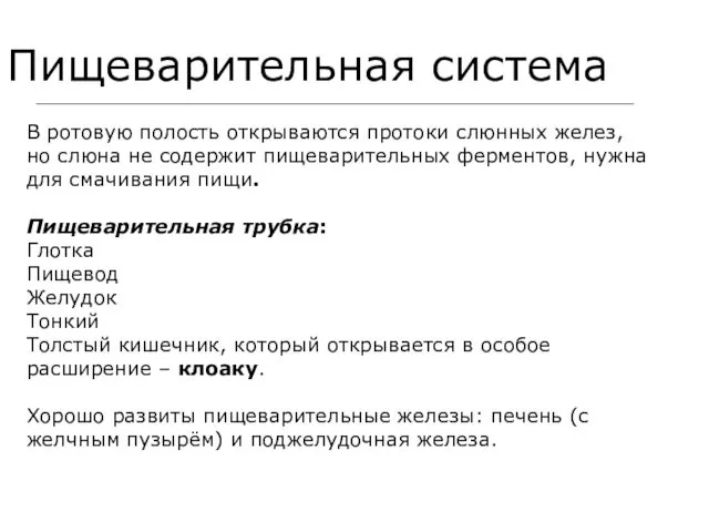 Пищеварительная система В ротовую полость открываются протоки слюнных желез, но слюна не содержит