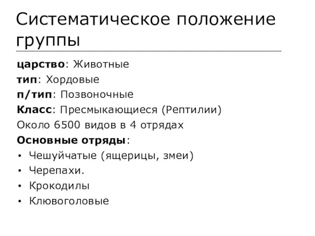 Систематическое положение группы царство: Животные тип: Хордовые п/тип: Позвоночные Класс: