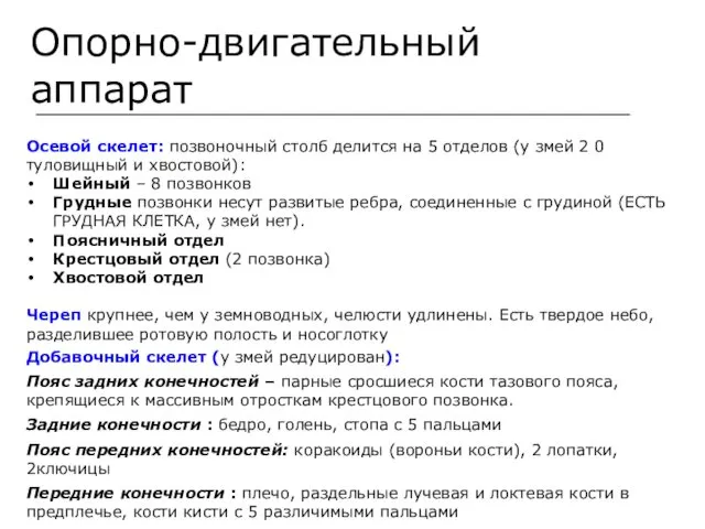 Опорно-двигательный аппарат Осевой скелет: позвоночный столб делится на 5 отделов (у змей 2