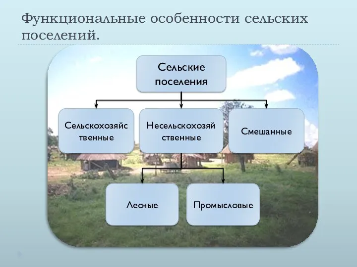 Функциональные особенности сельских поселений. Сельские поселения Сельскохозяйственные Несельскохозяйственные Смешанные Лесные Промысловые