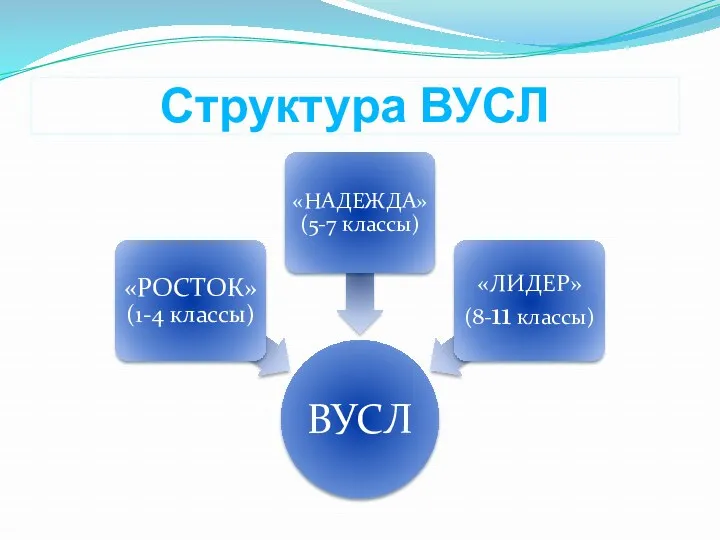 Структура ВУСЛ