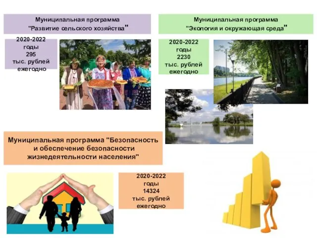 Муниципальная программа "Развитие сельского хозяйства" 2020-2022 годы 295 тыс. рублей