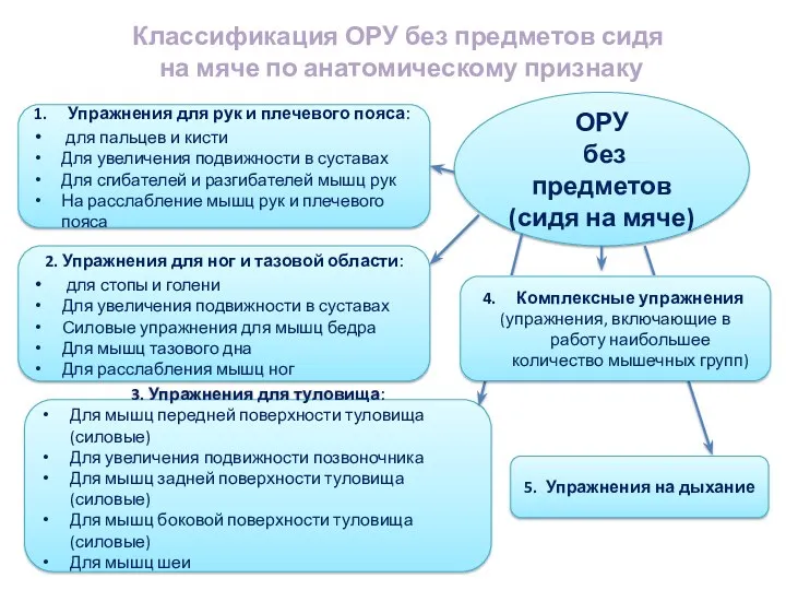 Классификация ОРУ без предметов сидя на мяче по анатомическому признаку