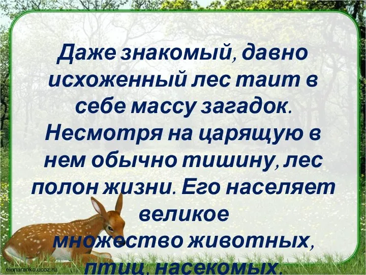 Даже знакомый, давно исхоженный лес таит в себе массу загадок. Несмотря на царящую