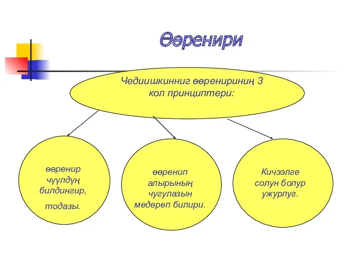 Өөренири Чедиишкинниг өөренириниң 3 кол принциптери: өөренир чγγлдγң билдингир, тодазы.