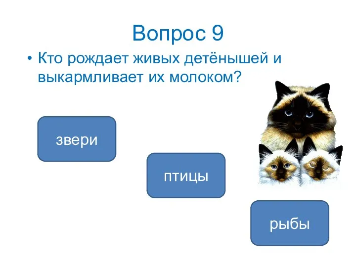 Вопрос 9 Кто рождает живых детёнышей и выкармливает их молоком? звери птицы рыбы